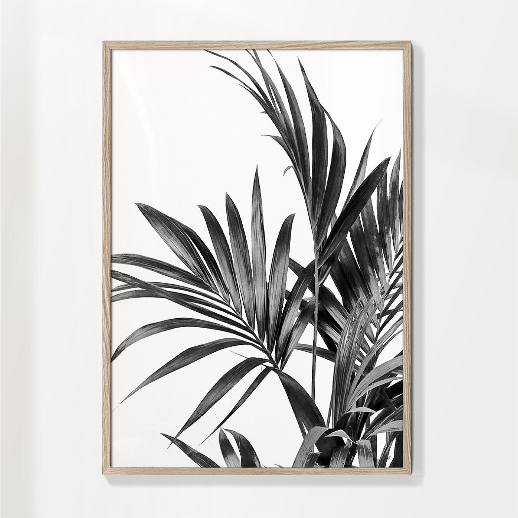 Palmenblätter Schwarz und Weiß 01