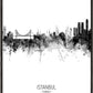 Istanbul Skyline black and white