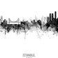 Istanbul Skyline black and white