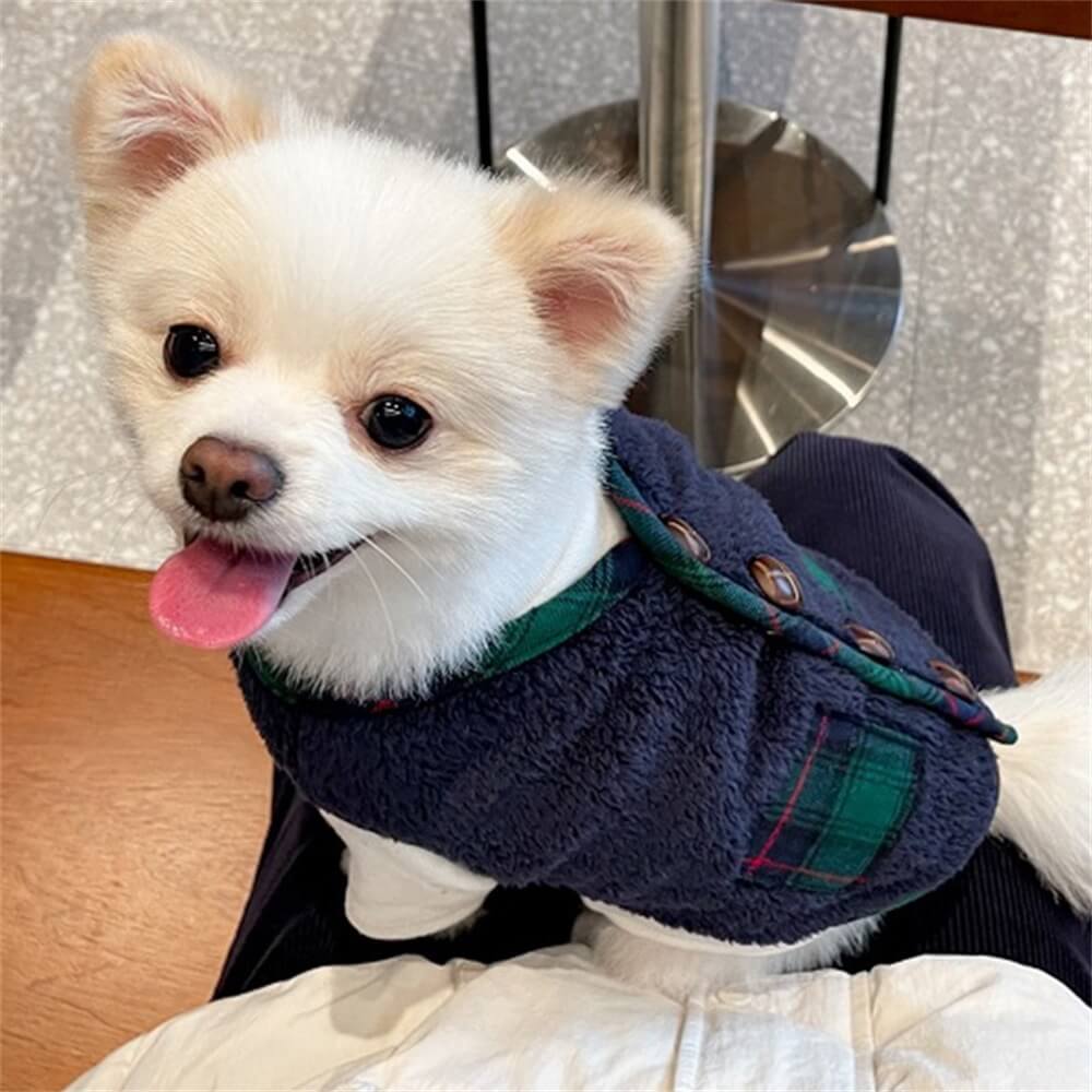 Karierte Winterhundejacke mit Schal – Festlich und Gemütlich für die Feiertage