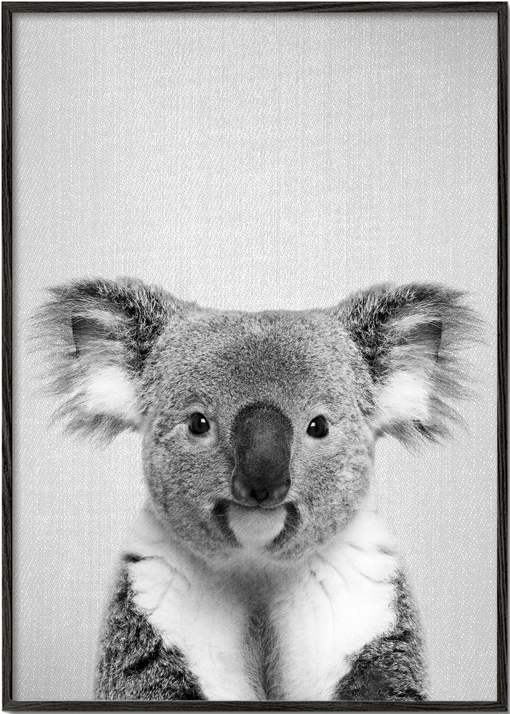 Koala - Schwarz & Weiß