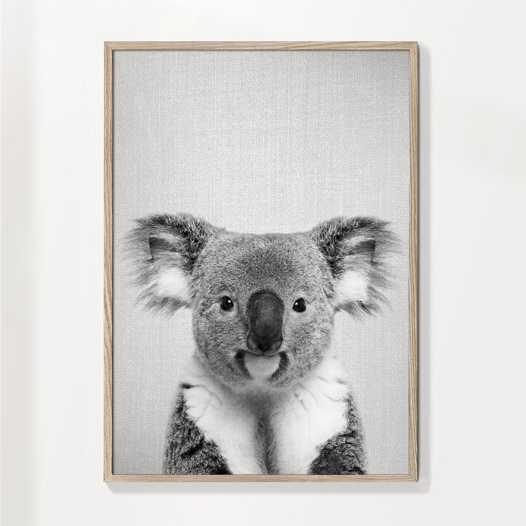 Koala - Schwarz & Weiß