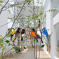 Buntglas Vogel Suncatcher - Francia
