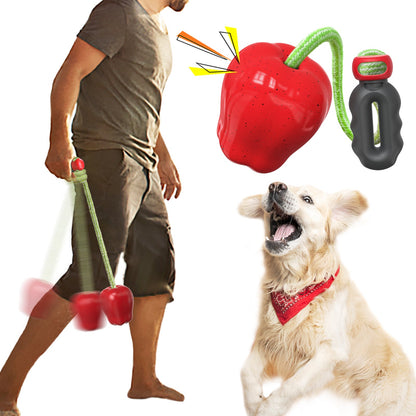 Apfel Wurf Spielzeug – Outdoor Kauball & Spielball für Hunde