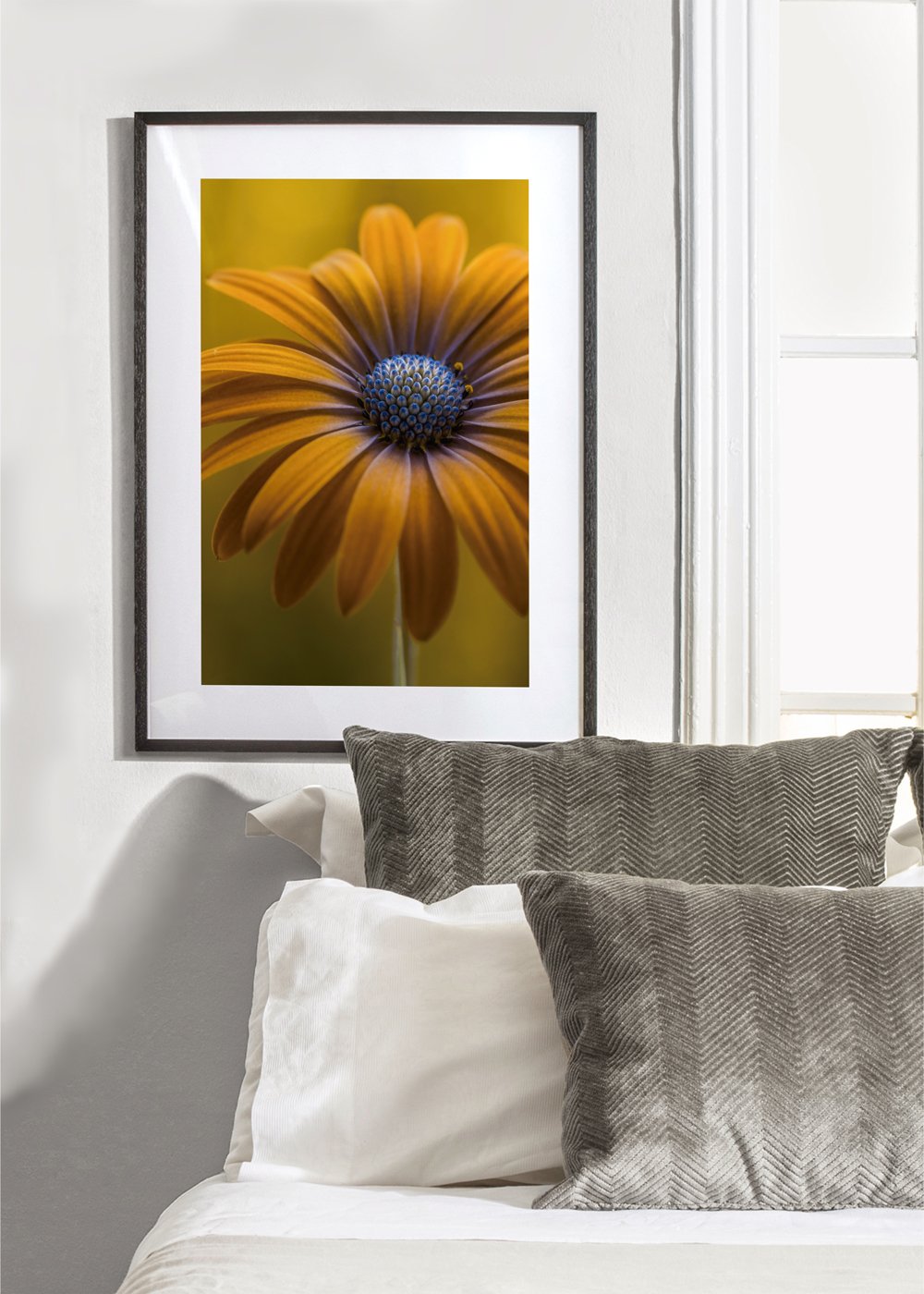 Sunshine Daisy - Mandy Disher