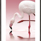 Flamingo - Doris Reindl
