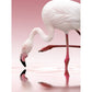 Flamingo - Doris Reindl