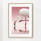Flamingo - Doris Reindl