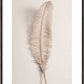 Feather II