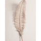 Feather II