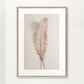 Feather II