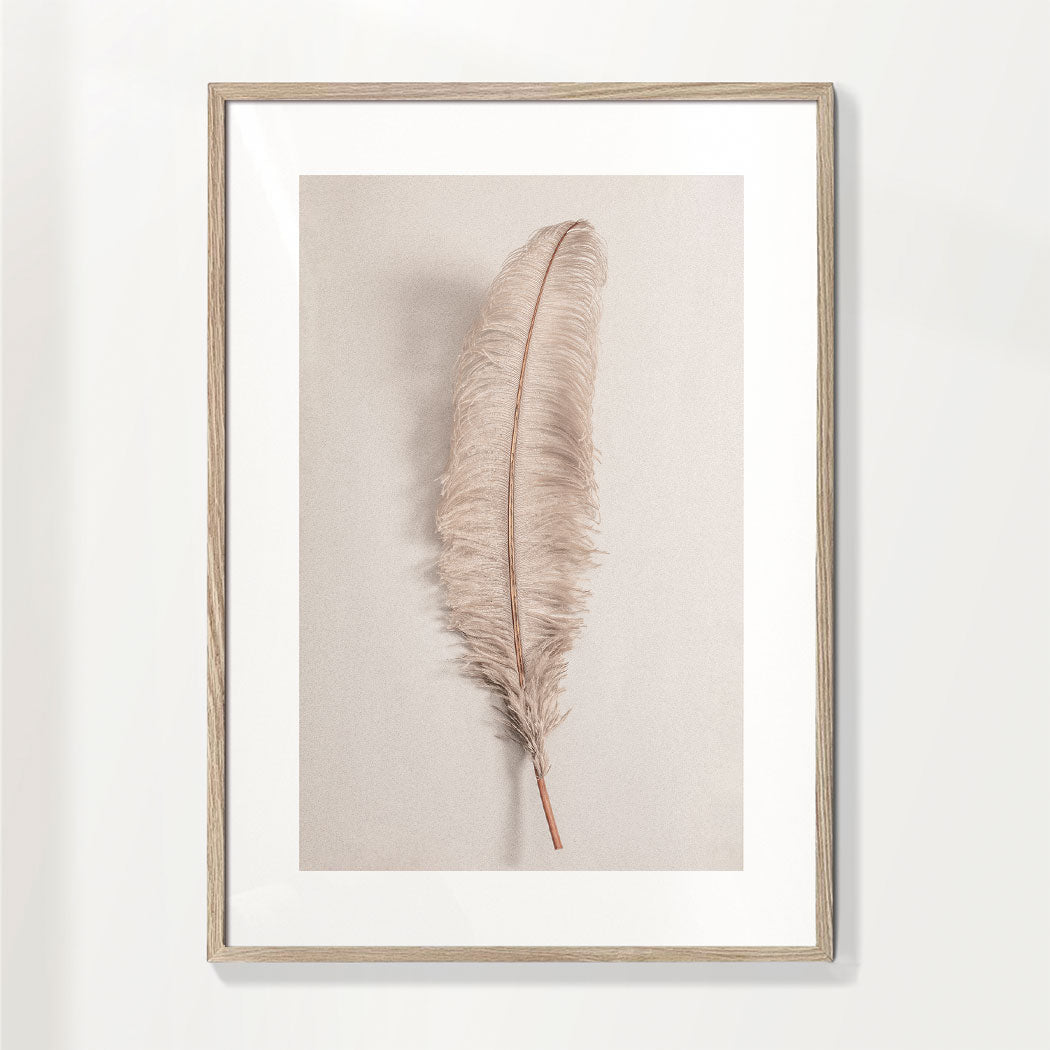 Feather II