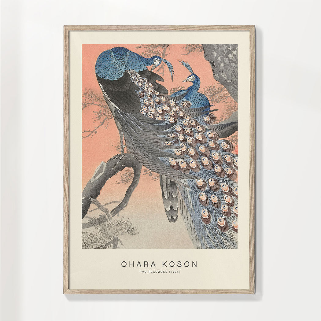 Two Peacocks (Special Edition) - Ohara Koson