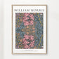 William Morris Geißblatt