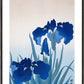 Ohara Koson Iris flowers