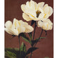Ogawa Kazumasa peony