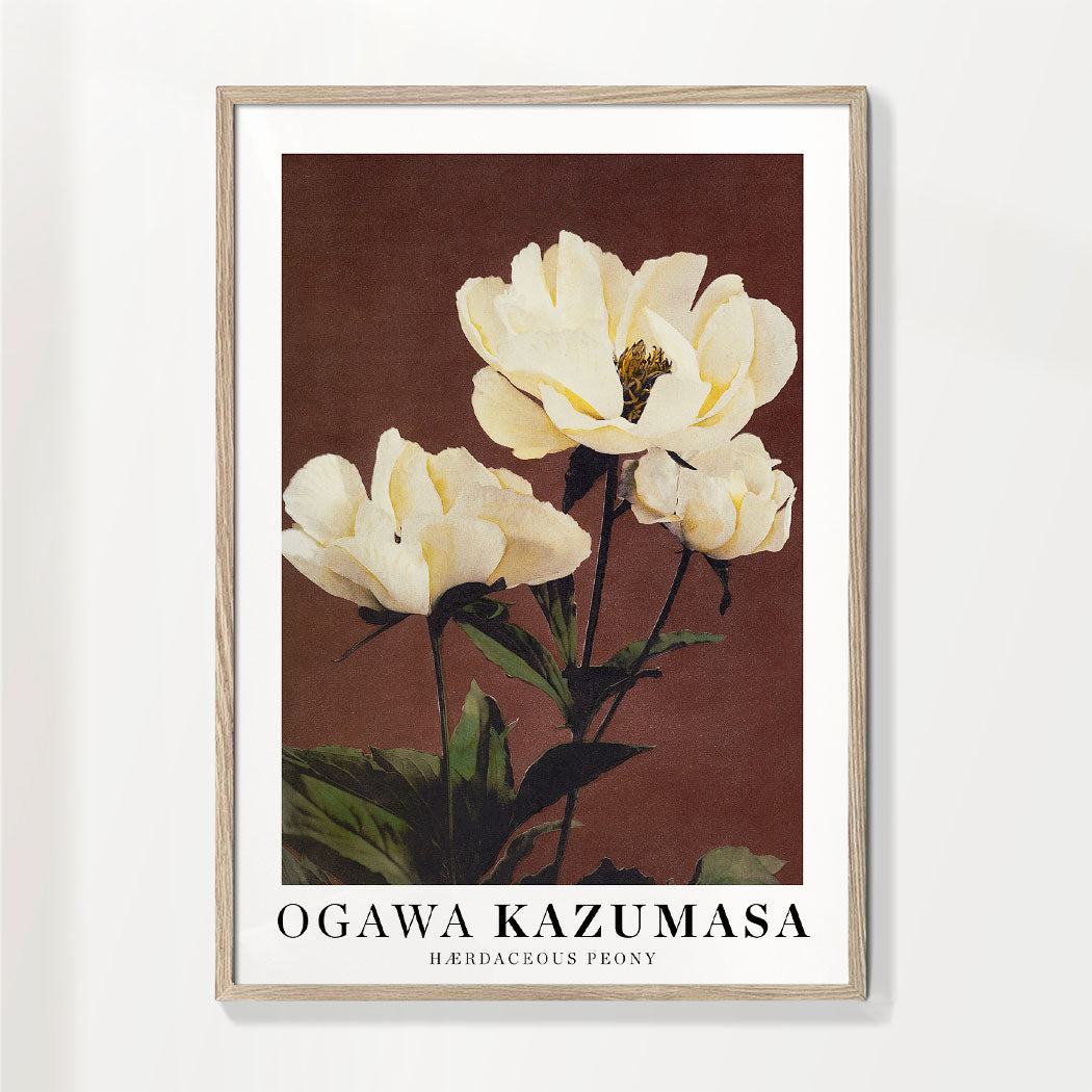 Ogawa Kazumasa peony