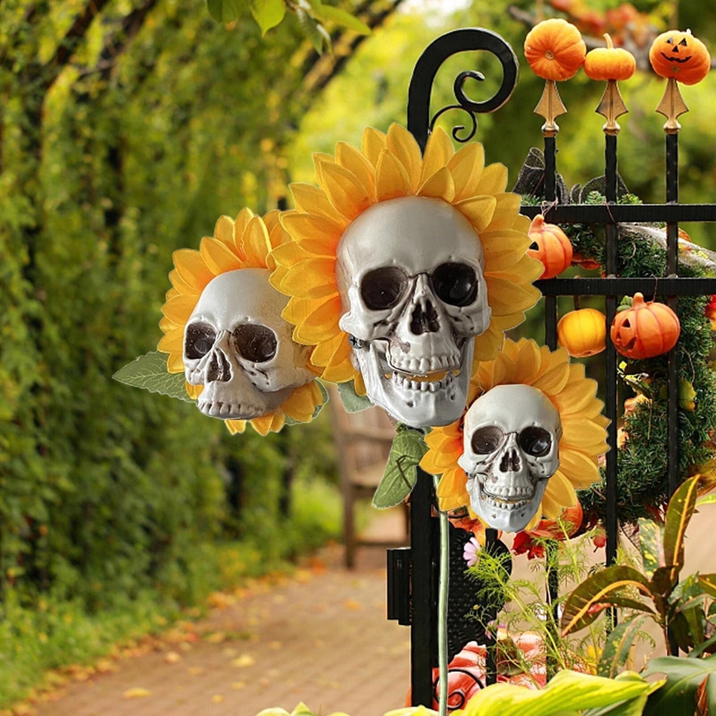 Frendorf | BloomSkull – Die gruselig-schöne Sonnenblume für Halloween!