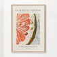 Le marche fermier - PAMPLEMOUSSE ROSE