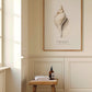 Frendorf | Die Gastropodenschale (Coquillage) - Sealife-Kollektion