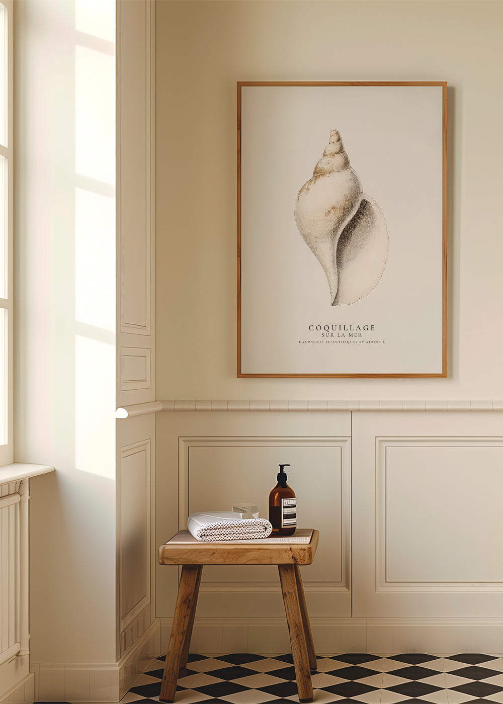 Frendorf | Die Gastropodenschale (Coquillage) - Sealife-Kollektion