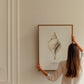 Frendorf | Die Gastropodenschale (Coquillage) - Sealife-Kollektion