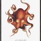 Der Oktopus (Der Poulpe) - Sealife-Kollektion
