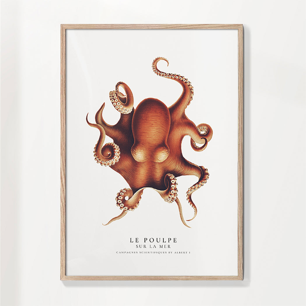 Der Oktopus (Der Poulpe) - Sealife-Kollektion
