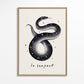 Frendorf | Le Serpent