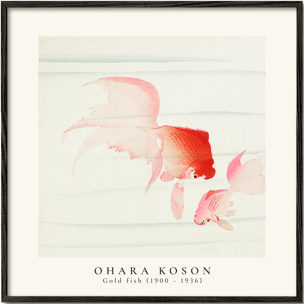 Frendorf | Ohara Koson, Zwei Schleiergoldfische - QUADRAT