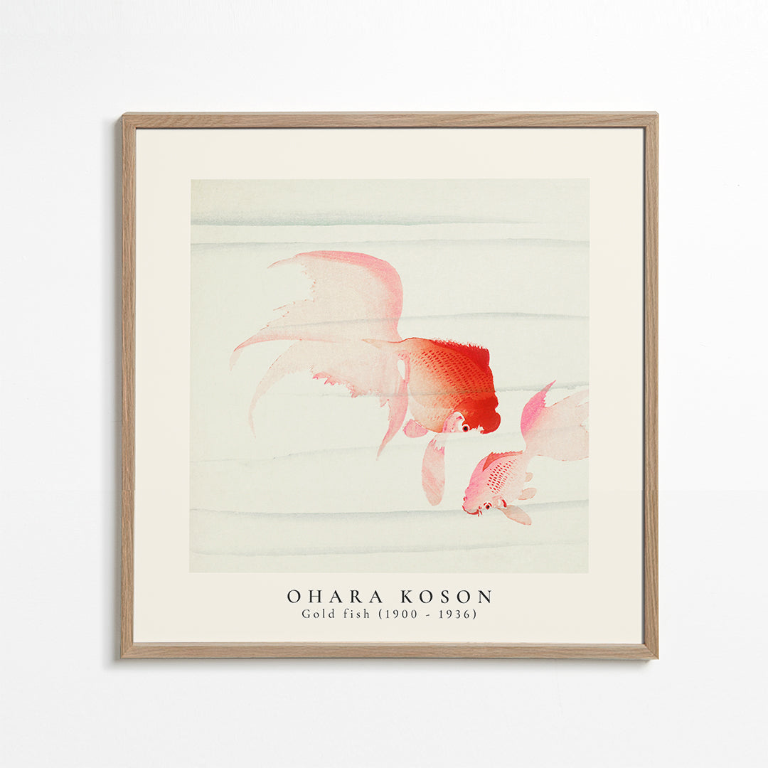 Frendorf | Ohara Koson, Zwei Schleiergoldfische - QUADRAT