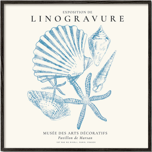 Frendorf | Linolschnittausstellung, Sealife (das Meeresleben) - QUADRAT