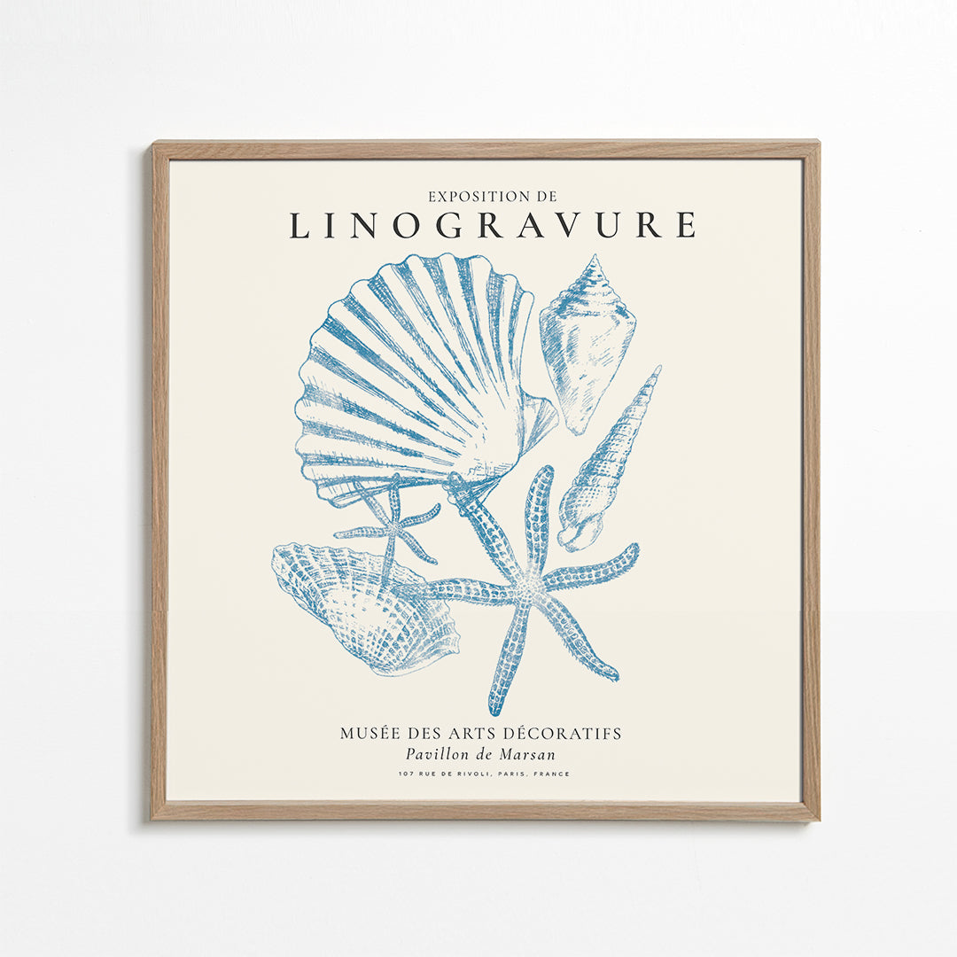 Frendorf | Linolschnittausstellung, Sealife (das Meeresleben) - QUADRAT