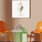 Frendorf | Die Gastropodenschale (Coquillage) - Sealife Kollektion - QUADRAT