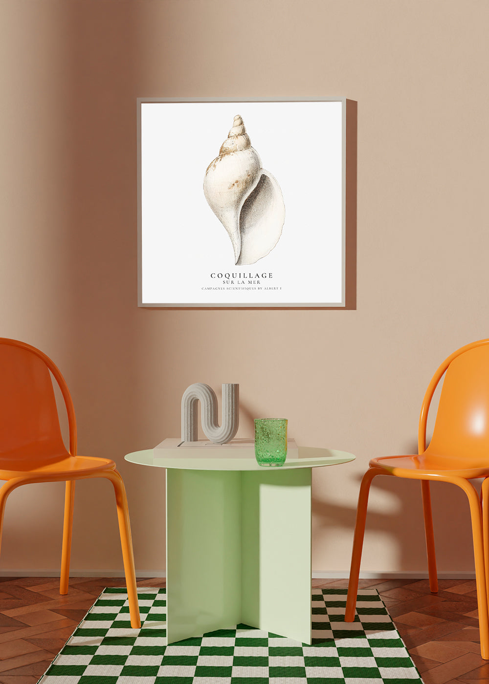 Frendorf | Die Gastropodenschale (Coquillage) - Sealife Kollektion - QUADRAT