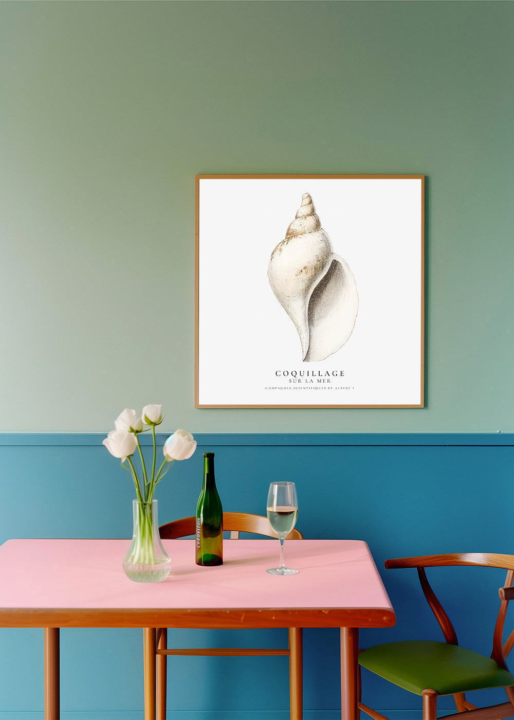 Frendorf | Die Gastropodenschale (Coquillage) - Sealife Kollektion - QUADRAT