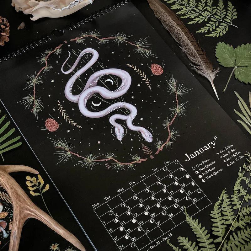 Frendorf | 2024 Dunkler Wald Mondkalender