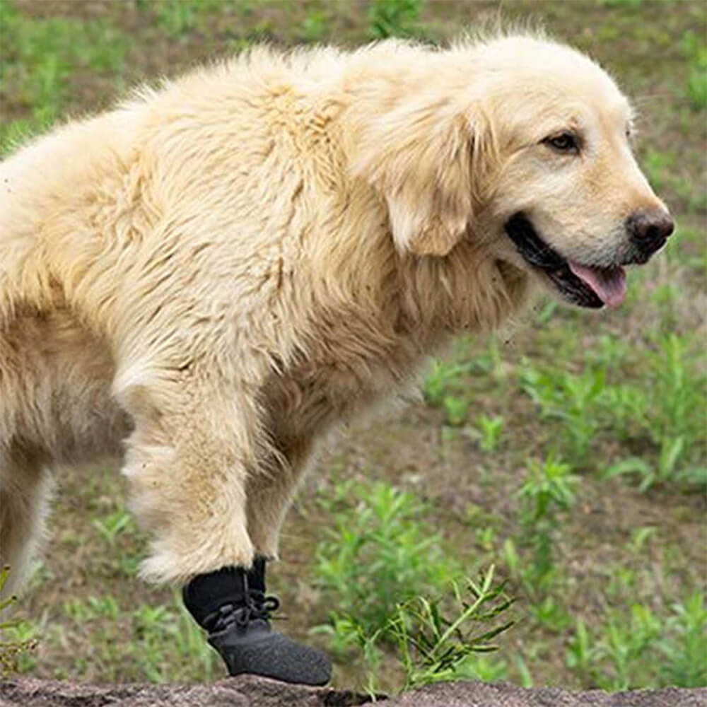 Outdoor wasserdicht atmungsaktiv wandern laufen rutschfeste hundeschuhe