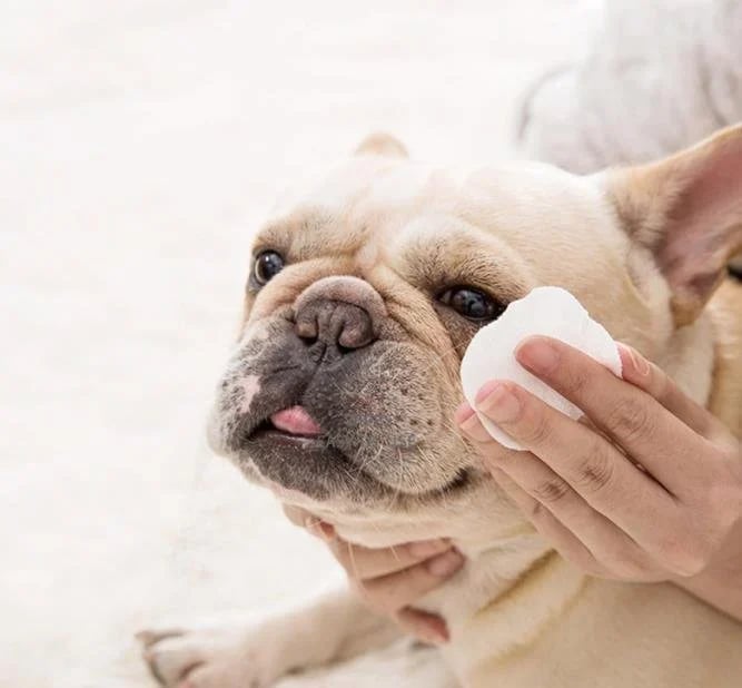 Frendorf | AugeLeichtigkeit Entfernt sanft Flecken