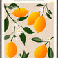 Frendorf | Ratio 4x5 Druck Von Bohonewart Kopie 4 - Emel Tunaboylu
