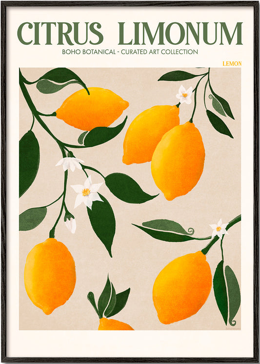 Frendorf | Ratio 4x5 Druck Von Bohonewart Kopie 4 - Emel Tunaboylu