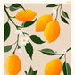 Frendorf | Ratio 4x5 Druck Von Bohonewart Kopie 4 - Emel Tunaboylu
