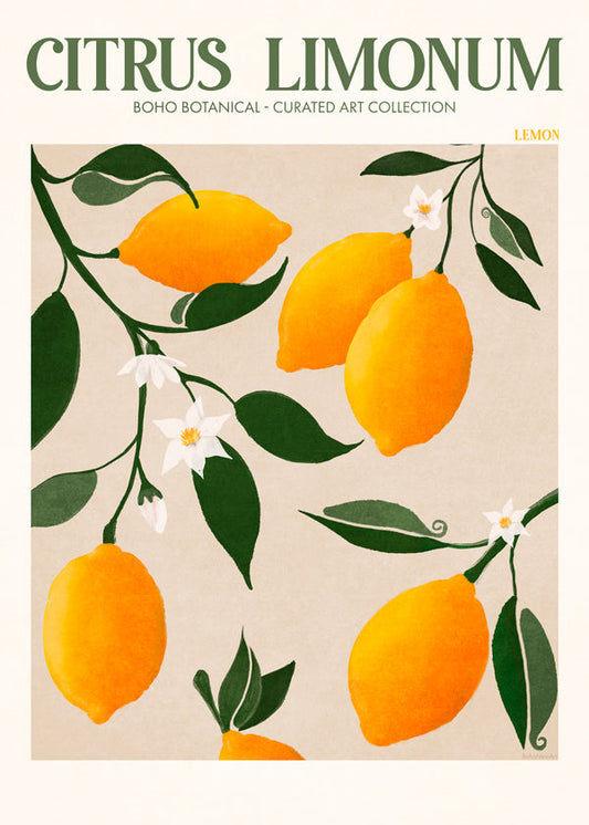Frendorf | Ratio 4x5 Druck Von Bohonewart Kopie 4 - Emel Tunaboylu