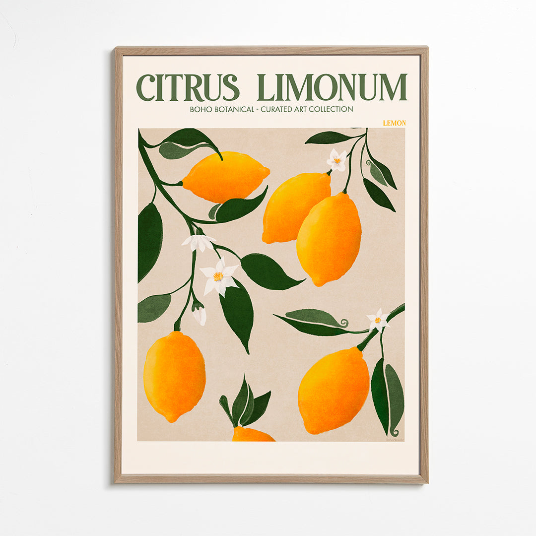 Frendorf | Ratio 4x5 Druck Von Bohonewart Kopie 4 - Emel Tunaboylu