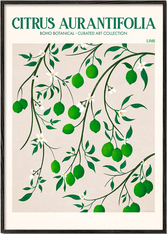 Frendorf | Ratio 4x5 Druck von Bohonewart Kopie 3 - Emel Tunaboylu