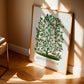 Frendorf | Hardy Magnolia Baum Lithografie - Botanisches Exemplar Rochester