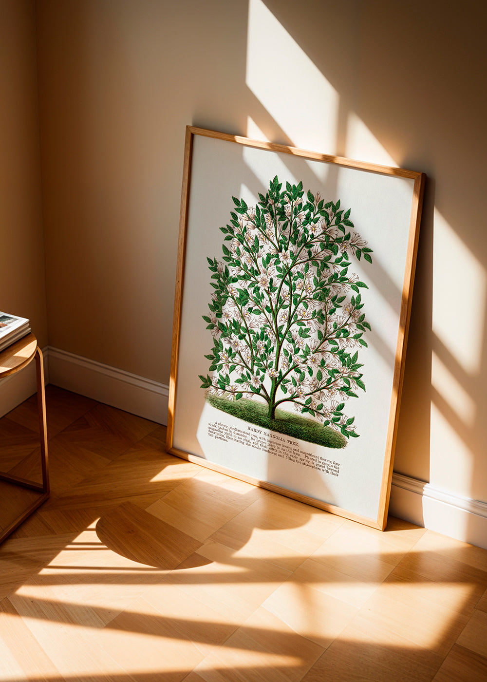 Frendorf | Hardy Magnolia Baum Lithografie - Botanisches Exemplar Rochester