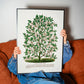 Frendorf | Hardy Magnolia Baum Lithografie - Botanisches Exemplar Rochester