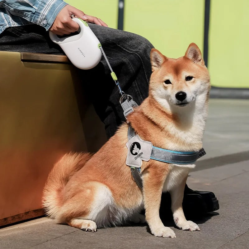 Frendorf | SwiftPaw Automatische Rollleine für Hunde | Rückziehbare Leine | Ergonomisch & Robust | Für Kleine bis Große Hunde