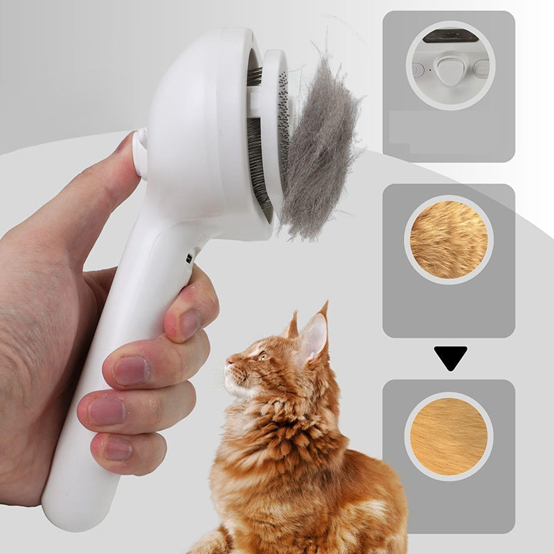 Frendorf |  Spray Katzenbürste